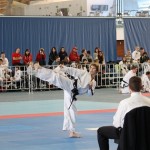 IMG_1704 - Copy