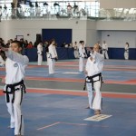 IMG_1782 - Copy