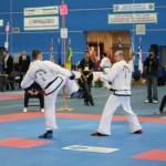 IMG_1810 - Copy