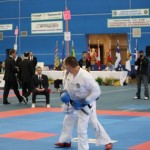 IMG_1811 - Copy