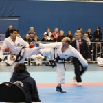 IMG_1906 - Copy
