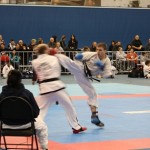 IMG_1919 - Copy